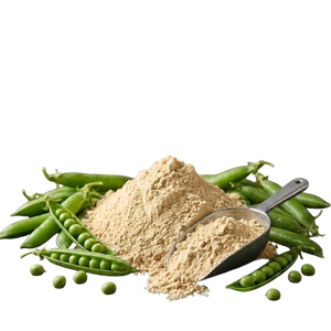 Pea Protein
